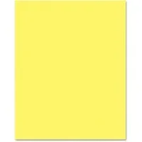 PACON CORPORATION-PAC 54091