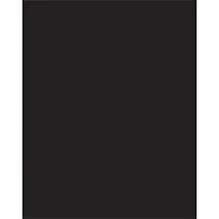 PACON CORPORATION-PAC 53941