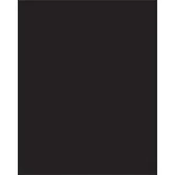 PACON CORPORATION-PAC 53941