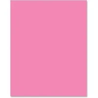 PACON CORPORATION-PAC 54071