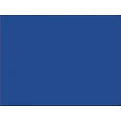 PACON CORPORATION-PAC 103081