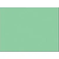 PACON CORPORATION-PAC 103079