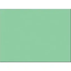 PACON CORPORATION-PAC 103079