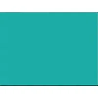 PACON CORPORATION-PAC 103071