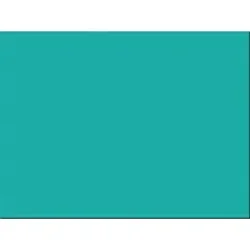 PACON CORPORATION-PAC 103071