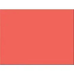 PACON CORPORATION-PAC 103094