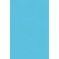 PACON CORPORATION-PAC 0059392