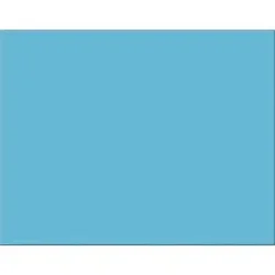 PACON CORPORATION-PAC 54851