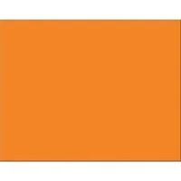 PACON CORPORATION-PAC 54791