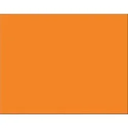 PACON CORPORATION-PAC 54791