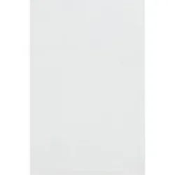 PACON CORPORATION-PAC 0059007