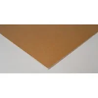 PACON CORPORATION-PAC 5546