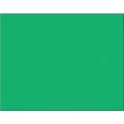 PACON CORPORATION-PAC 54941