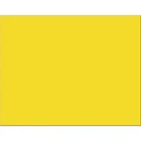 PACON CORPORATION-PAC 54731