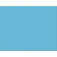 PACON CORPORATION-PAC 54841