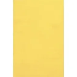 PACON CORPORATION-PAC 0059027