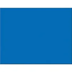 PACON CORPORATION-PAC 54621