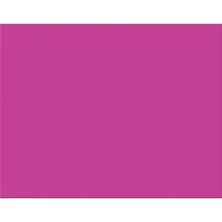 PACON CORPORATION-PAC 54971