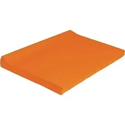 PACON CORPORATION-PAC 0059160