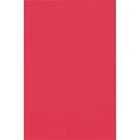 PACON CORPORATION-PAC 0059037