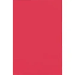 PACON CORPORATION-PAC 0059037