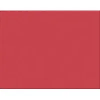 PACON CORPORATION-PAC 54761