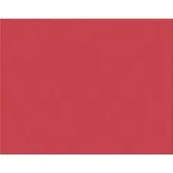 PACON CORPORATION-PAC 54761