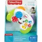 Fisher-FIP FNT06