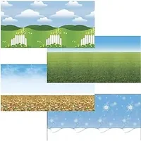 PACON CORPORATION-PAC 57534