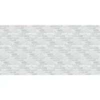 PACON CORPORATION-PAC 56905