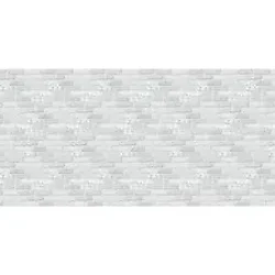 PACON CORPORATION-PAC 56905