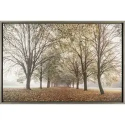 Lorell-LLR 04486