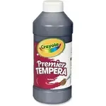 CRAYOLA CYO 541216051