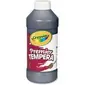 CRAYOLA-CYO 541216051