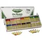 CRAYOLA-CYO 524629