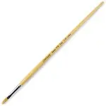 CRAYOLA CYO 50978004