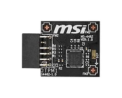 MSI-TPM2SPI