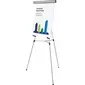 BI-SILQUE VISUAL COMMUNICATION PRODUCTS-BVC FLX09102MV