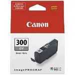 CANON 4200C002