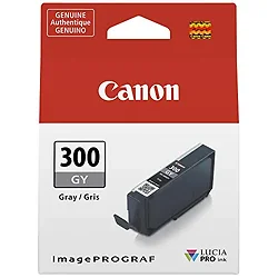 CANON-4200C002