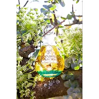 Celestial Symphony-R-BA2-FOREST