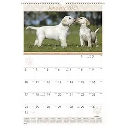 ACCO Brands-AAG DMW16728