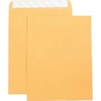 Business Source-BSN 42121