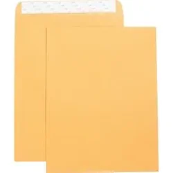 Business Source-BSN 42121