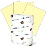 INTERNATIONAL PAPER-HAM 103341