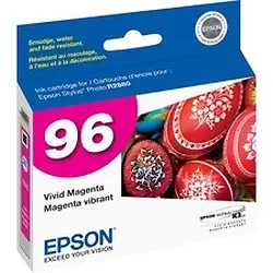 EPSON-T096320