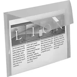 Lion Office Products Inc-LIO 22070CR
