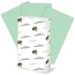 INTERNATIONAL PAPER-HAM 103374