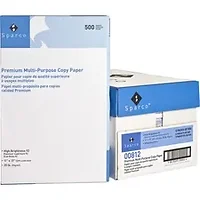 INTERNATIONAL PAPER-SPR 00812