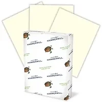 INTERNATIONAL PAPER-HAM 168030